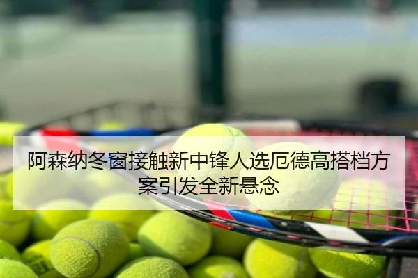 阿森纳冬窗接触新中锋人选厄德高搭档方案引发全新悬念