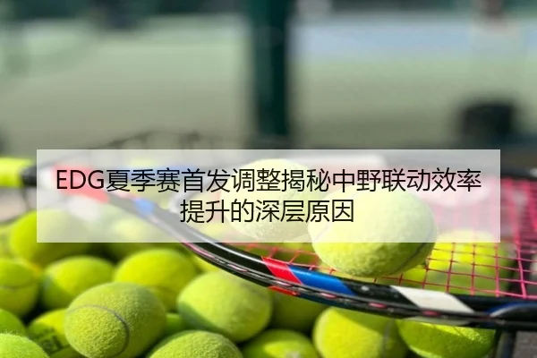 EDG夏季赛首发调整揭秘中野联动效率提升的深层原因